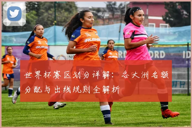 世界杯赛区划分详解:各大洲名额分配与出线规则全解析