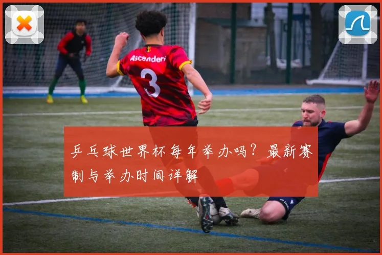 乒乓球世界杯每年举办吗?最新赛制与举办时间详解
