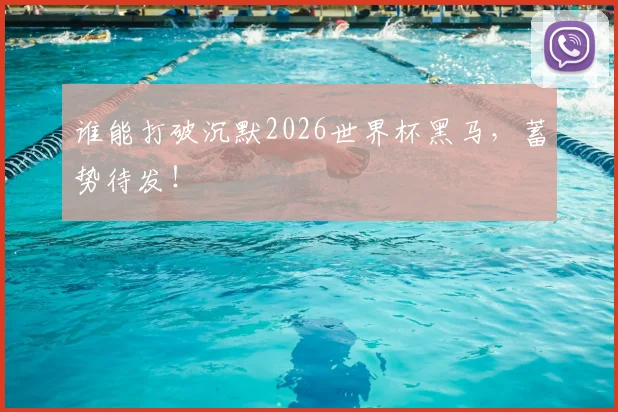 谁能打破沉默2026世界杯黑马，蓄势待发！